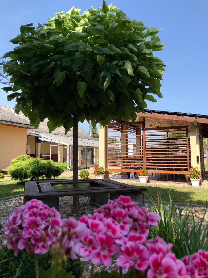 Green Corner Wellness Püspökladány 外观 照片