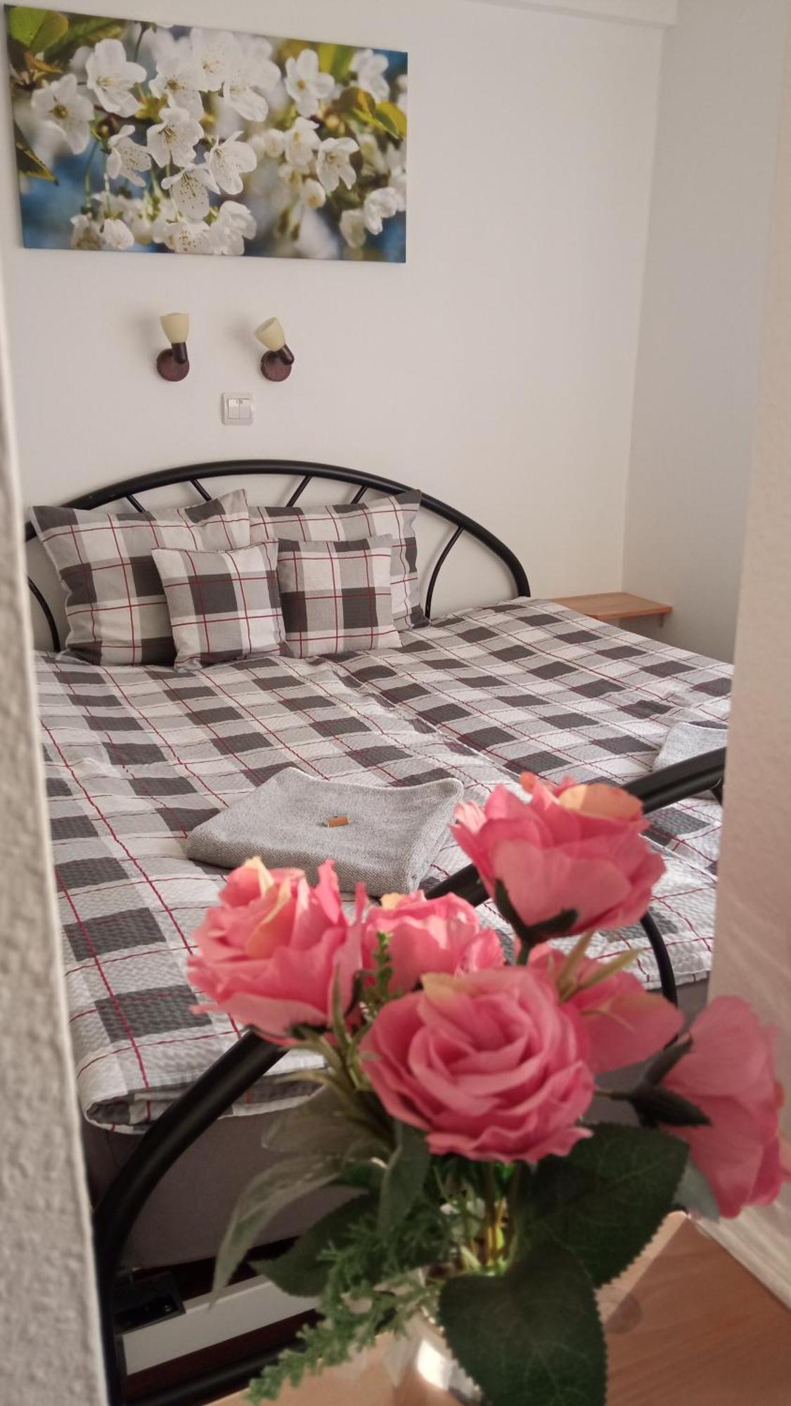 Green Corner Wellness Püspökladány 外观 照片